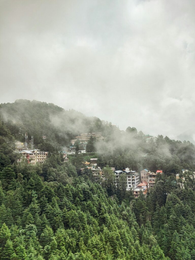 Beautiful view of mountain houses in Dalhousie surrounded by green trees and covered in foggy weather.