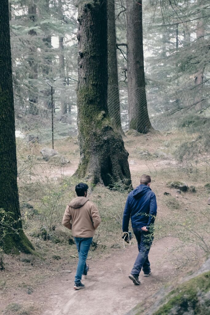 Traveler hiking through dense pine woods in McLeod Ganj surrounded by tall Himalayan trees and peaceful mountain trails, perfect for nature lovers exploring Dharamshala with Visit Taxi services.