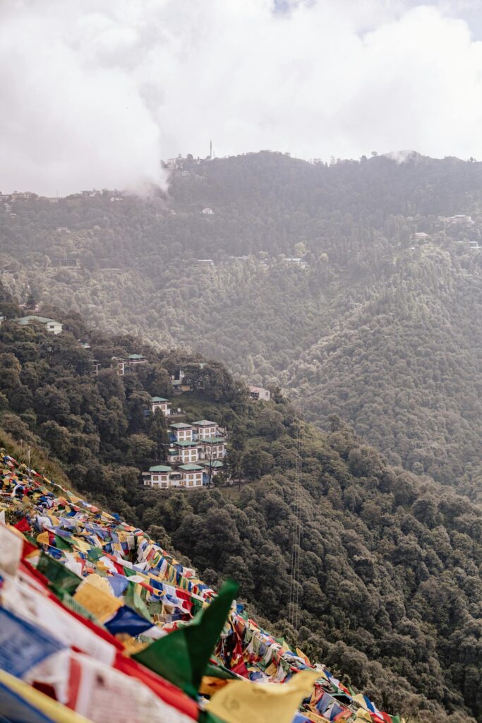 Panoramic mountain top view in McLeod Ganj featuring lush green valleys