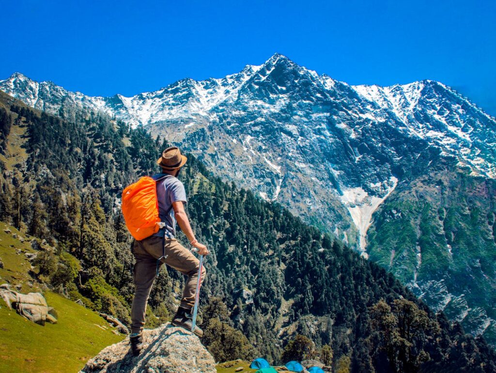 Scenic trekking route through the forests and mountains of Dharamshala and McLeod Ganj leading towards the majestic Dhauladhar hills, ideal for adventure travelers and trekking tours with Visit Taxi Service from Amritsar, Chandigarh, Ludhiana, New Delhi and Jalandhar.
